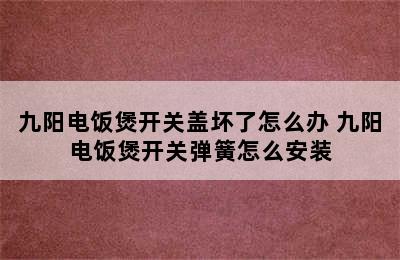 九阳电饭煲开关盖坏了怎么办 九阳电饭煲开关弹簧怎么安装